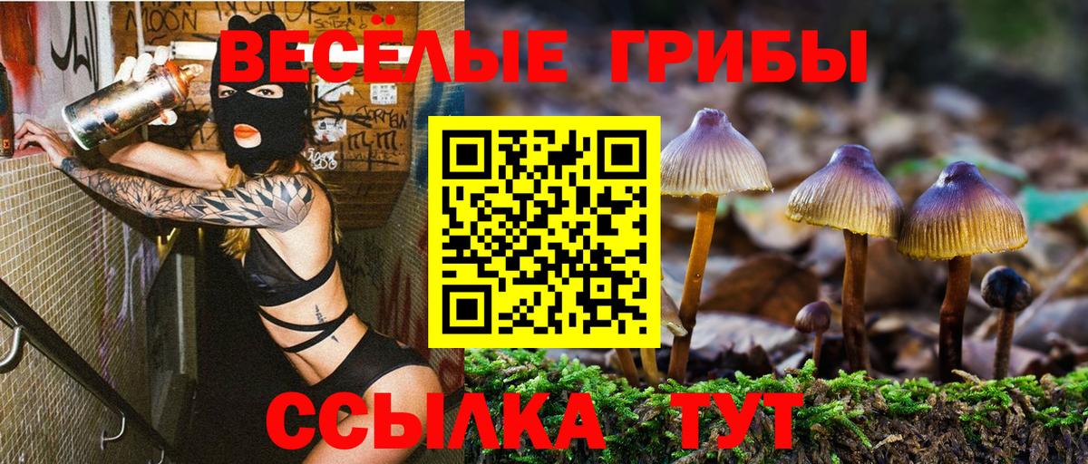 Псилоцибиновые грибы Psilocybine cubensis Янаул